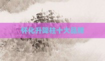 怀化升降柱十大品牌