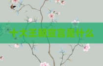 十大王朝宣言是什么