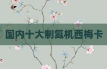 国内十大制氮机西梅卡