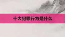 十大犯罪行为是什么