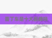 雷丁车是十大品牌吗