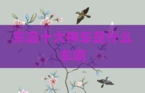 东瀛十大神车是什么车啊