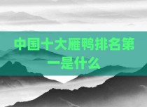 中国十大雁鸭排名第一是什么