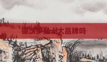 德沃多是十大品牌吗