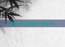 粤西十大山排名第一名是什么