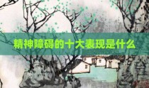 精神障碍的十大表现是什么