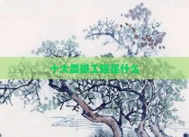 十大震撼工程是什么