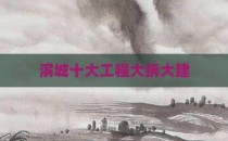 滨城十大工程大拆大建