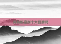肖勒研磨剂十大品牌吗