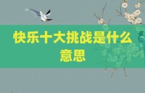 快乐十大挑战是什么意思