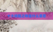 十大纯阳之物是什么意思