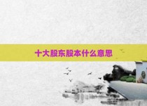 十大股东股本什么意思