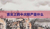 舌尖上的十大特产是什么