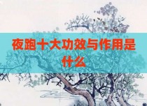 夜跑十大功效与作用是什么