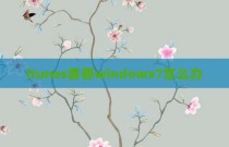 itunes需要windows7怎么办