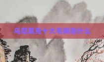乌尼莫克十大毛病是什么