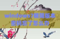 windows7精简版本密码忘了怎么办