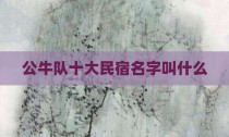 公牛队十大民宿名字叫什么