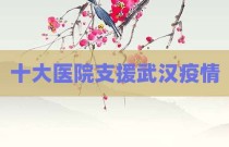 十大医院支援武汉疫情
