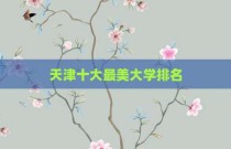 天津十大最美大学排名