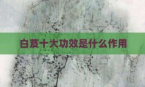 白芨十大功效是什么作用