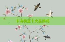 卡诗特是十大品牌吗