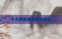 十大将的原名字叫什么