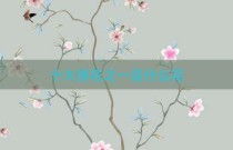 十大佛花之一是什么花