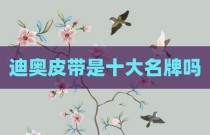 迪奥皮带是十大名牌吗