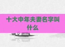 十大中年夫妻名字叫什么
