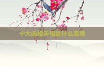 十大凶相天相是什么意思