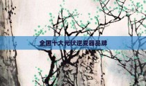 全国十大光伏逆变器品牌