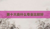 第十大类什么专业比较好