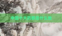 中国十大药都是什么地