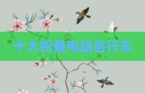 十大折叠电动自行车