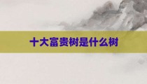 十大富贵树是什么树