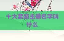 十大套路主播名字叫什么