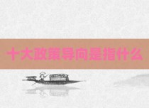 十大政策导向是指什么