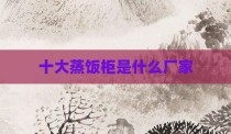 十大蒸饭柜是什么厂家