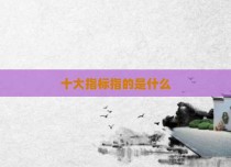 十大指标指的是什么