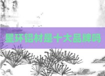 星环铝材是十大品牌吗