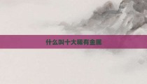什么叫十大稀有金属