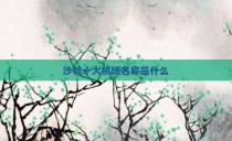 沙特十大机场名称是什么