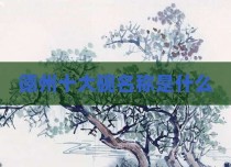 德州十大碗名称是什么
