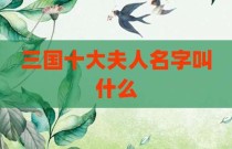 三国十大夫人名字叫什么