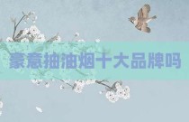 豪意抽油烟十大品牌吗