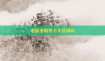 老板油烟机十大品牌吗