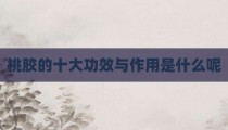 桃胶的十大功效与作用是什么呢