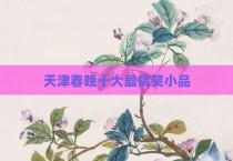 天津春晚十大最搞笑小品