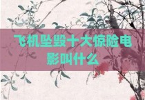 飞机坠毁十大惊险电影叫什么